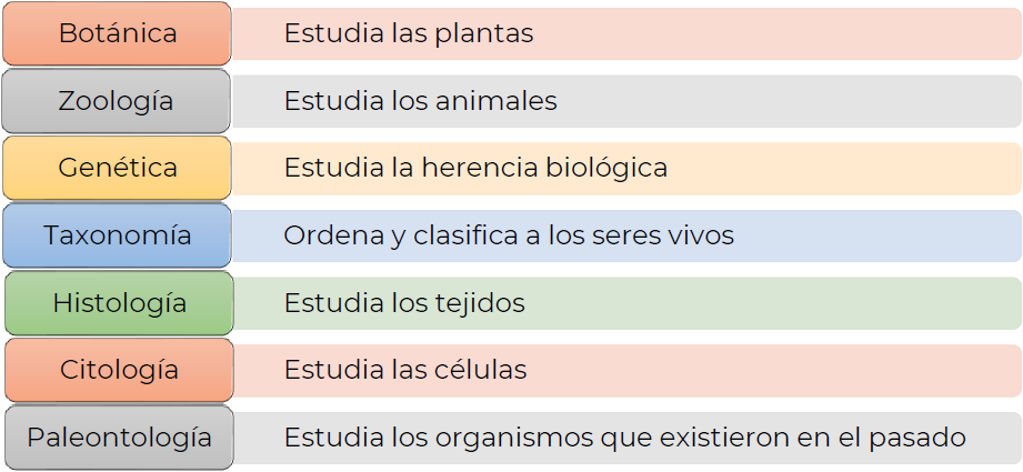 Ramas de la Biología
